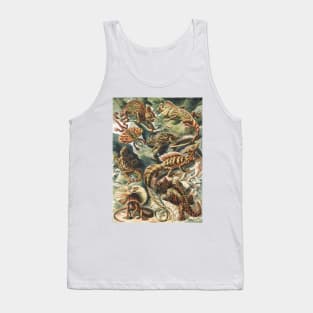 Lizard Art Print Ernst Haeckel Tank Top